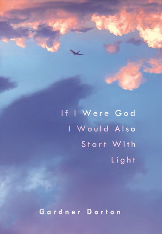 If I Were God I Would Also Start With Light (Gardner Dorton)