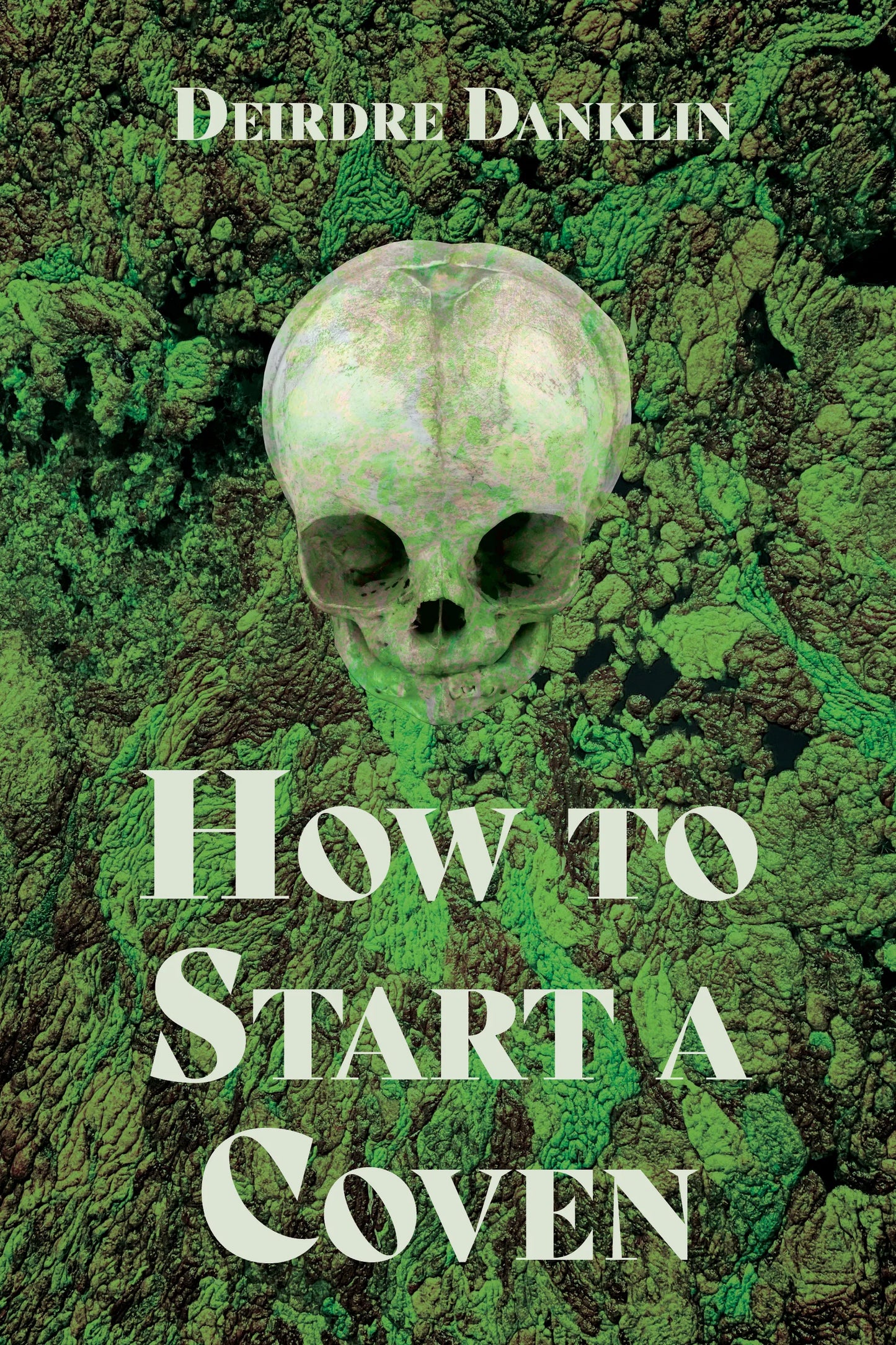 How to Start a Coven (Deirdre Danklin)